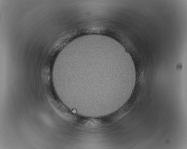 X0000113960599200910232030