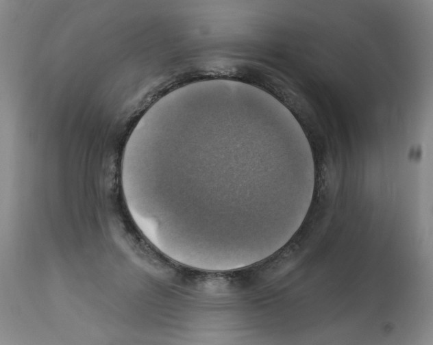 X0000113960600200910232030