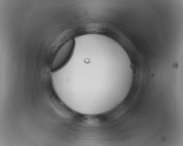 X0000113960601200910232030