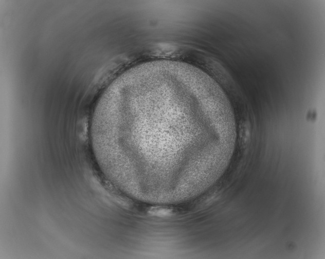 X0000113960602200910232030