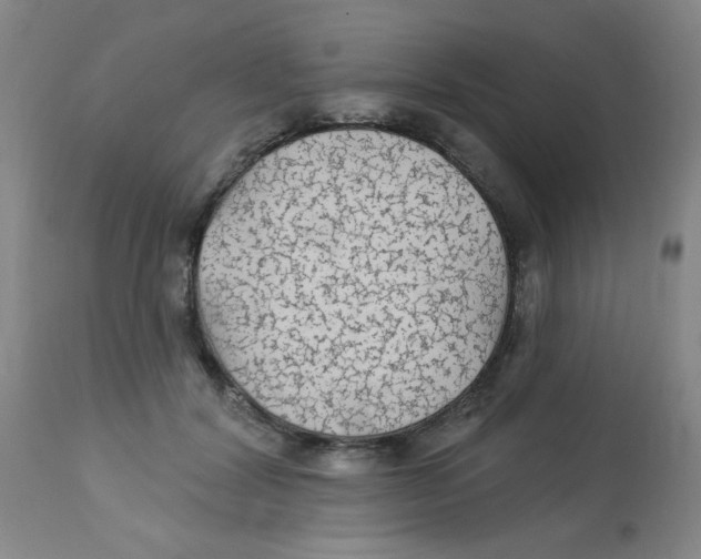 X0000113960604200910232030