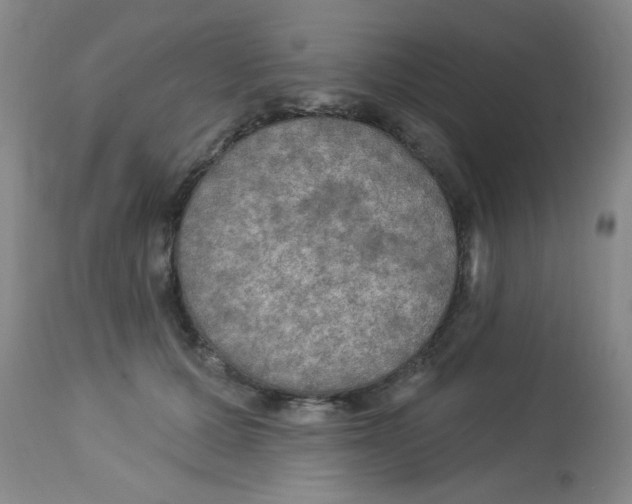 X0000113960607200910232030