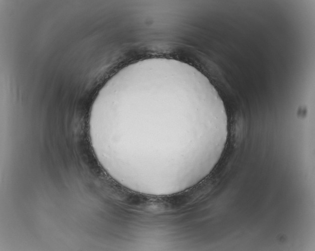 X0000113960608200910232030