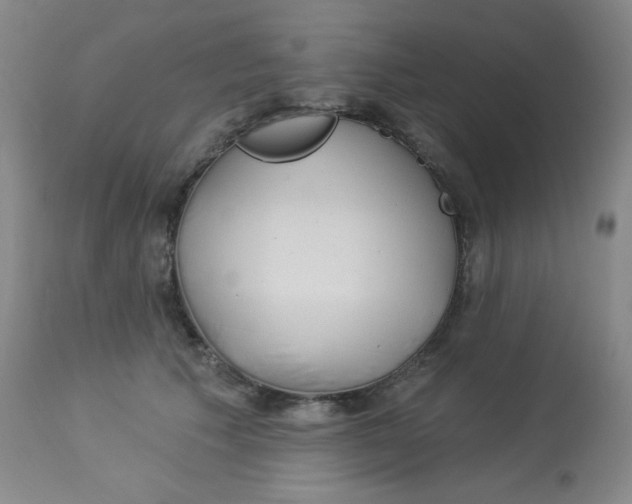 X0000113960609200910232030