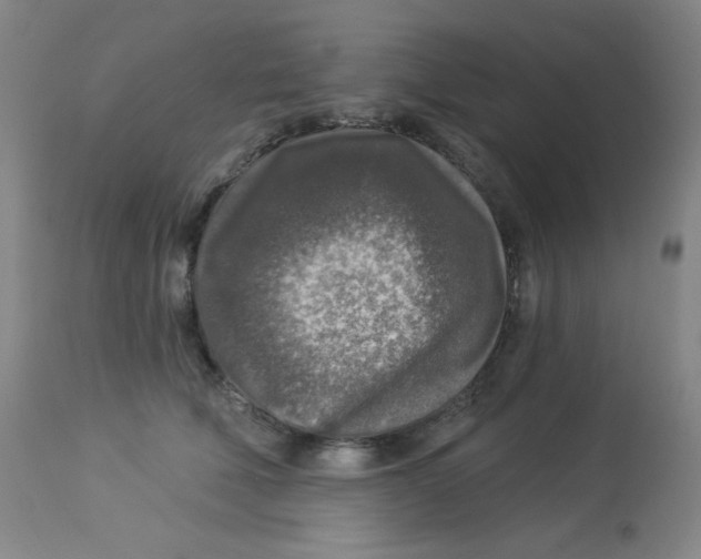 X0000113960610200910232030