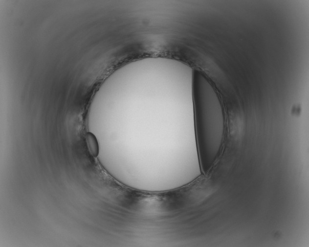 X0000113960611200910232030