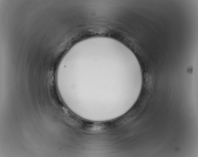 X0000113960612200910232030