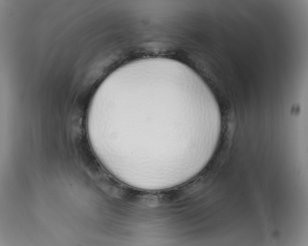 X0000113960615200910232030