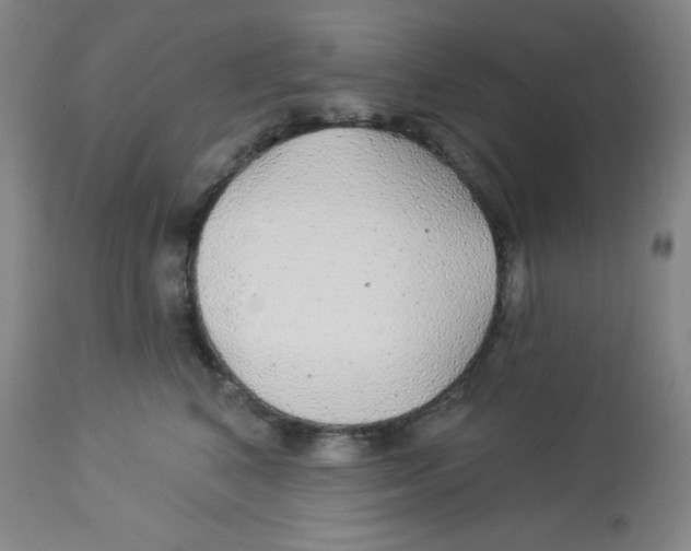 X0000113960616200910232030