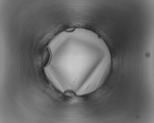 X0000113960617200910232030