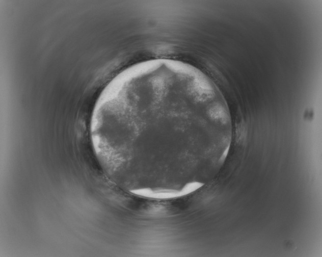 X0000113960618200910232030