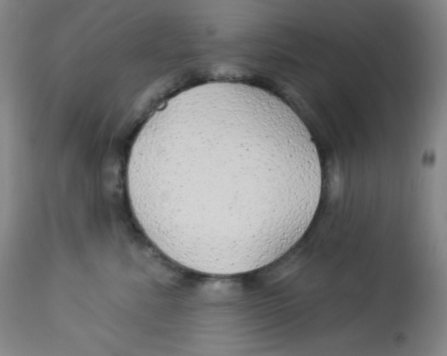 X0000113960619200910232030