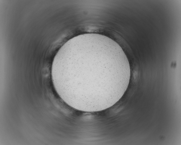 X0000113960620200910232030