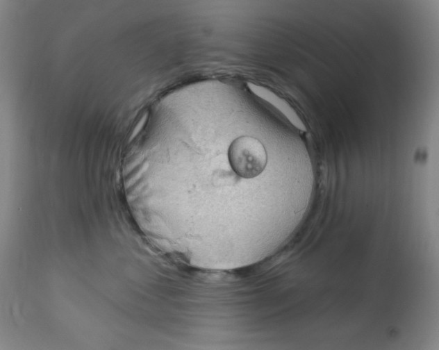 X0000113960621200910232030