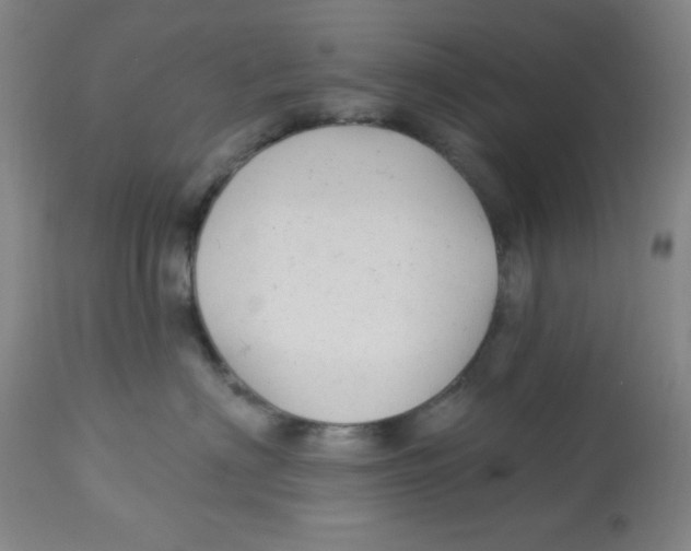 X0000113960622200910232030