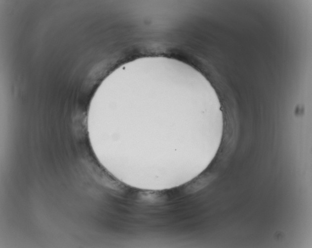 X0000113960624200910232030