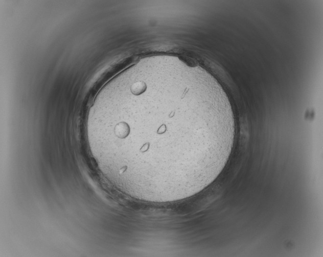 X0000113960626200910232029