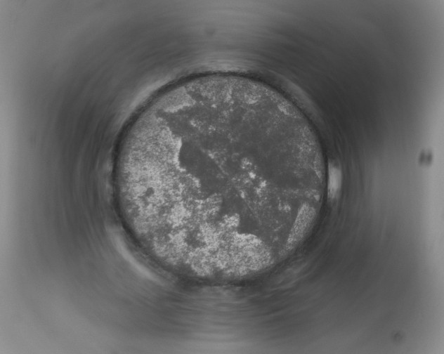 X0000113960627200910232029