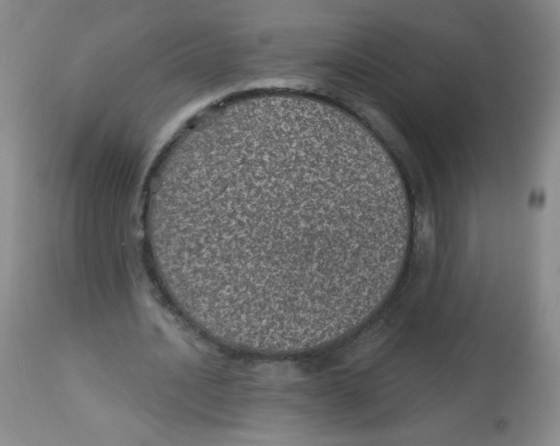 X0000113960628200910232029