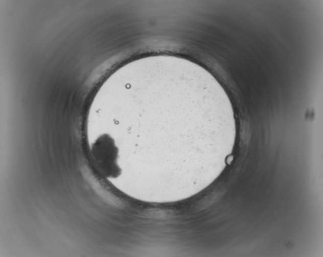 X0000113960629200910232029