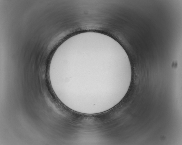 X0000113960631200910232029