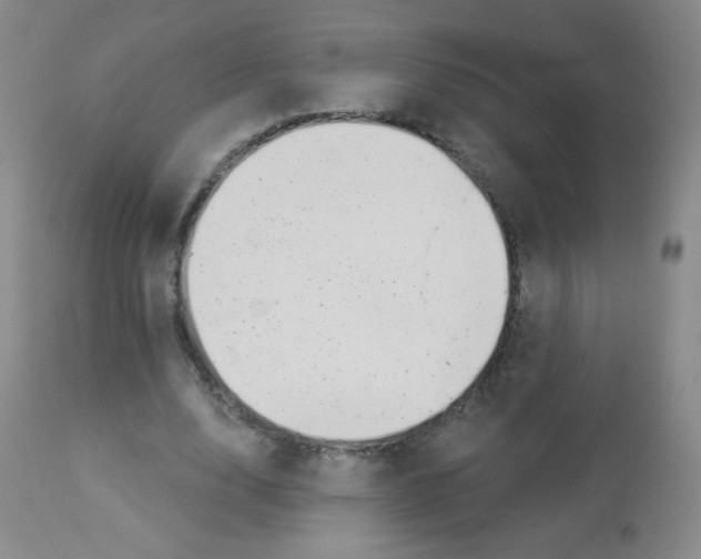 X0000113960632200910232029