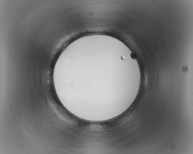 X0000113960636200910232029