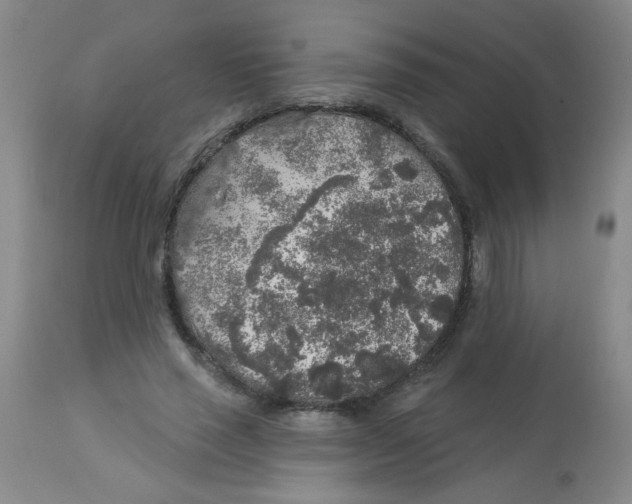 X0000113960637200910232029