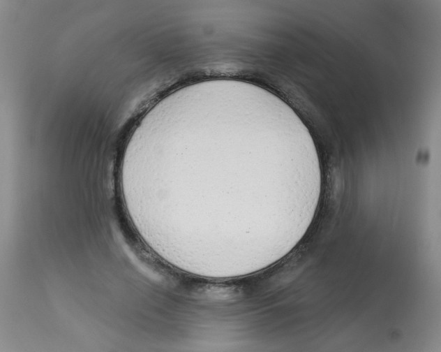 X0000113960638200910232029