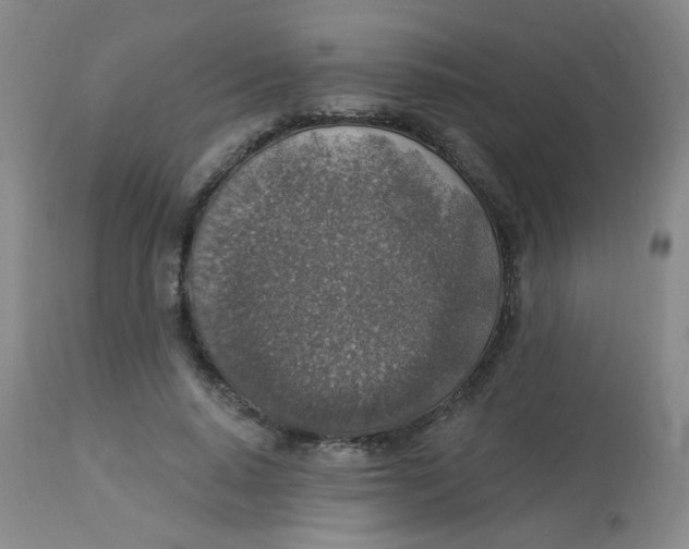 X0000113960640200910232029