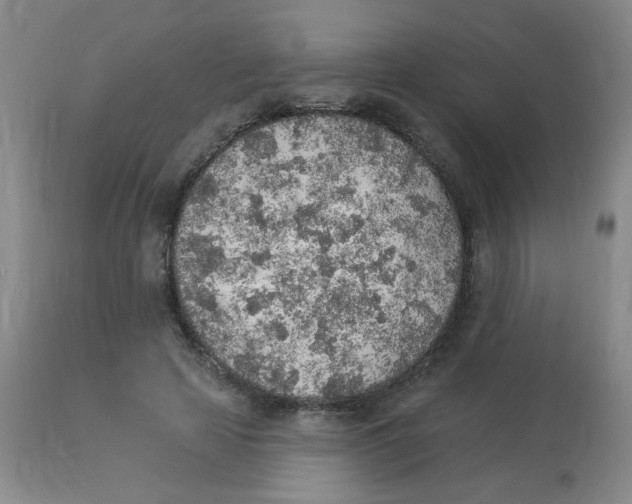 X0000113960641200910232029