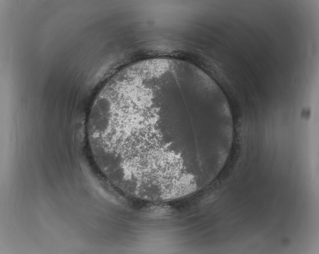 X0000113960642200910232029