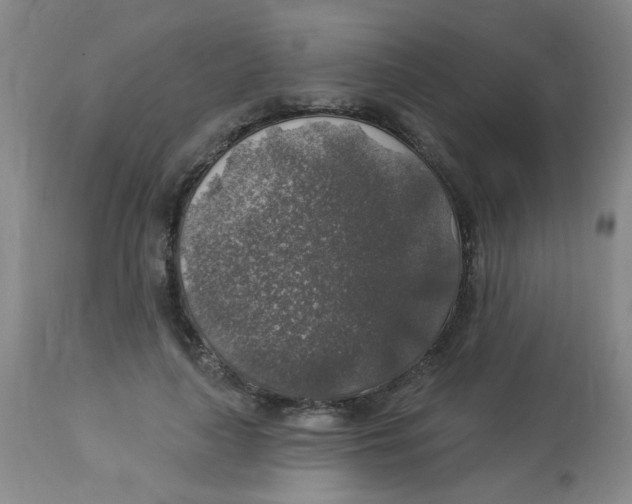 X0000113960643200910232029