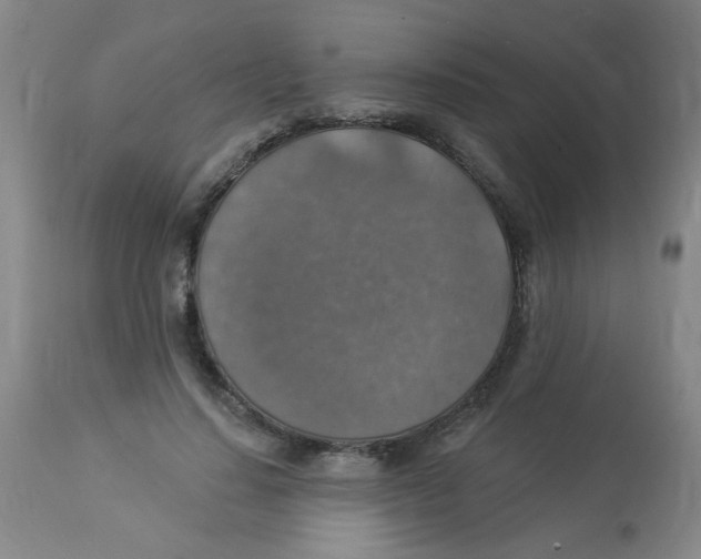 X0000113960644200910232029