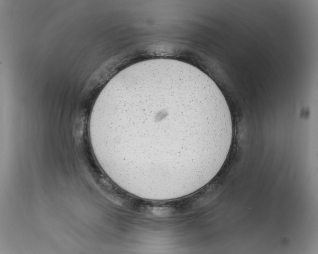 X0000113960645200910232029