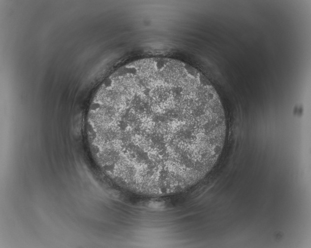 X0000113960647200910232029