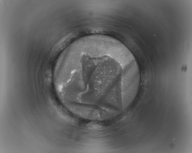 X0000113960648200910232029