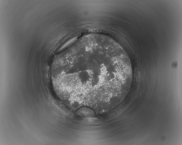 X0000113960650200910232029