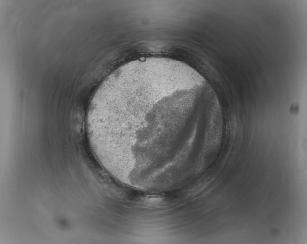 X0000113960651200910232029