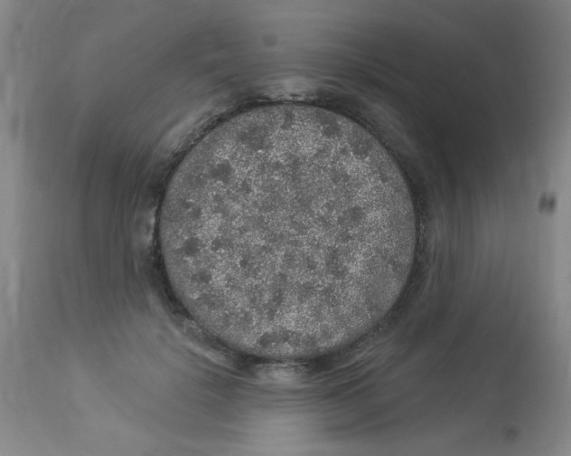 X0000113960652200910232029