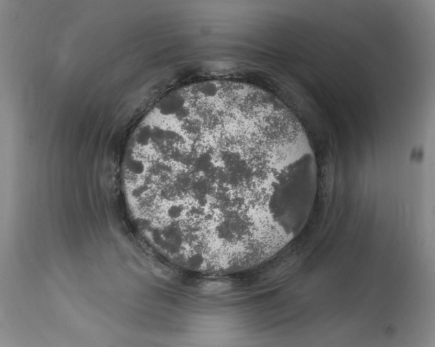 X0000113960653200910232029