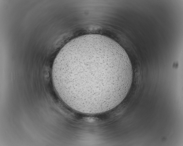 X0000113960654200910232029