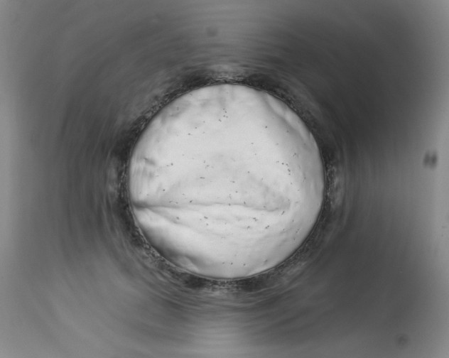 X0000113960655200910232029