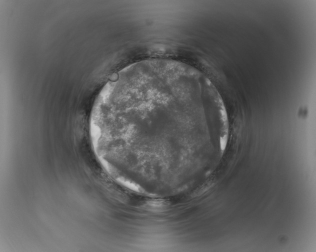 X0000113960659200910232030