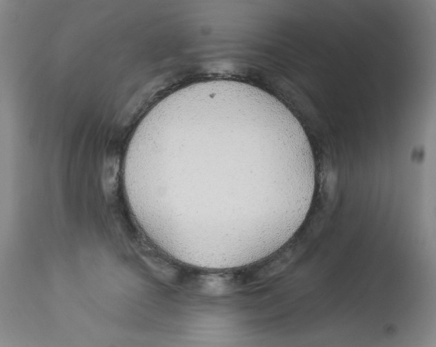 X0000113960660200910232030