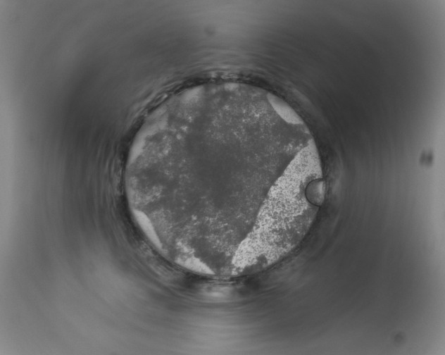 X0000113960661200910232030