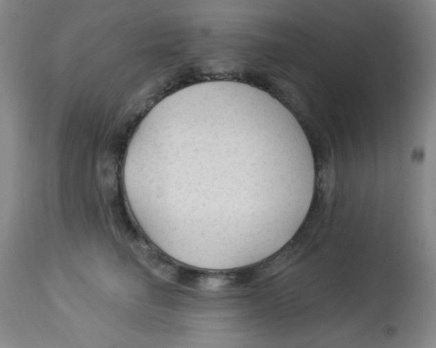 X0000113960662200910232030