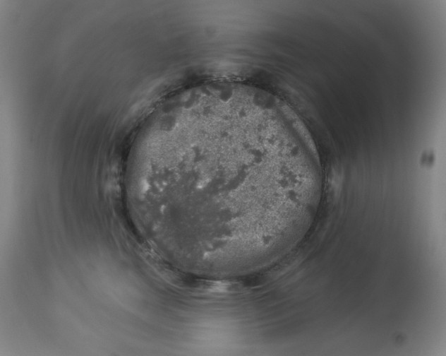 X0000113960663200910232030