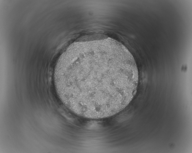 X0000113960664200910232030