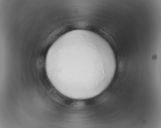 X0000113960665200910232030